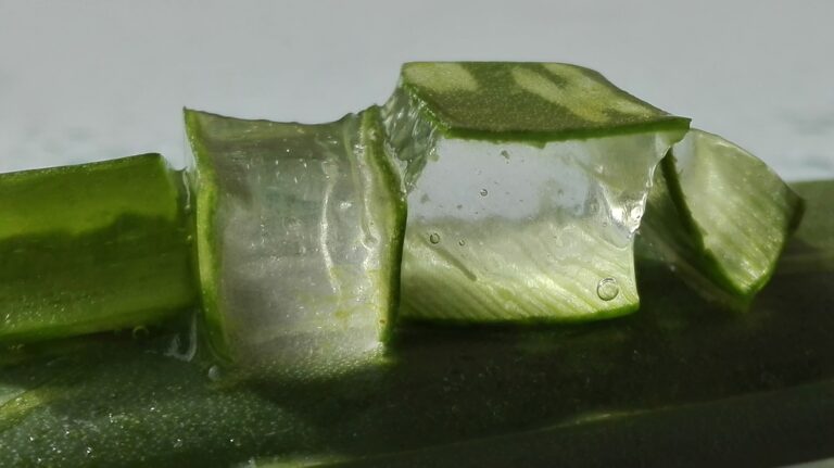 Aloes